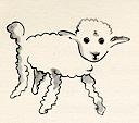 sheep1